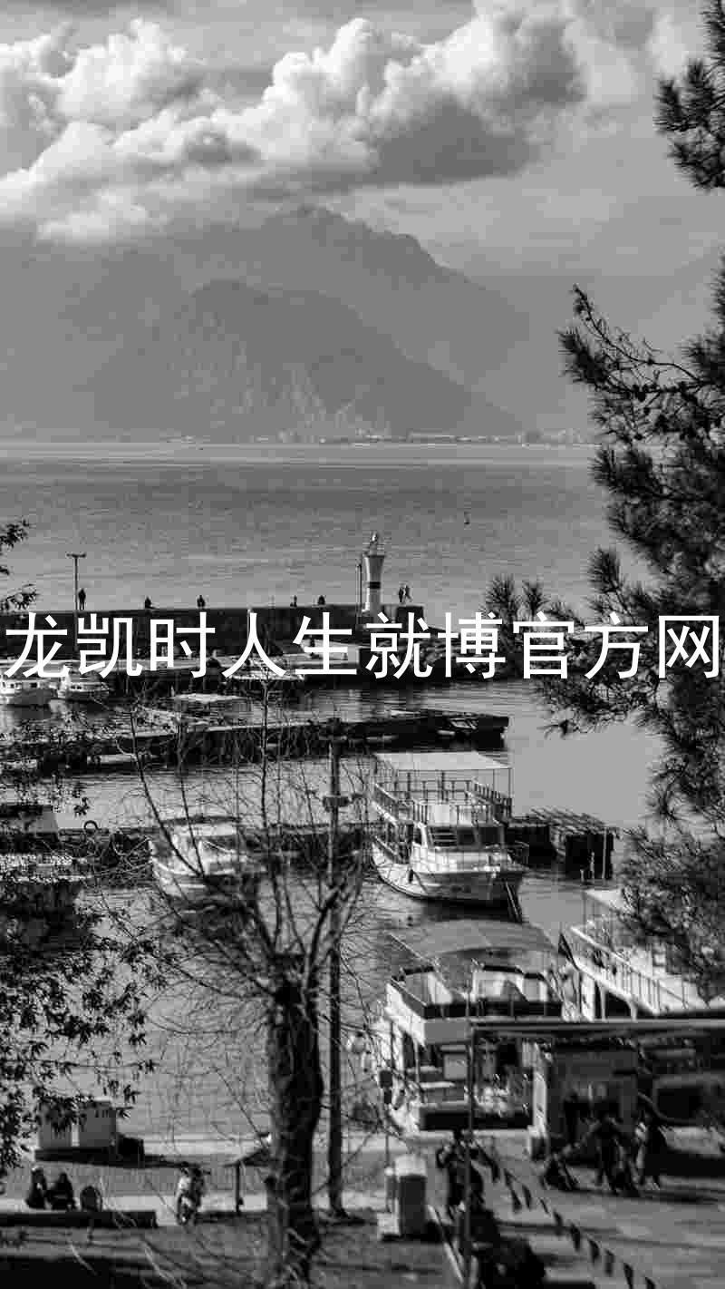 尊龙凯时人生就博官方网站