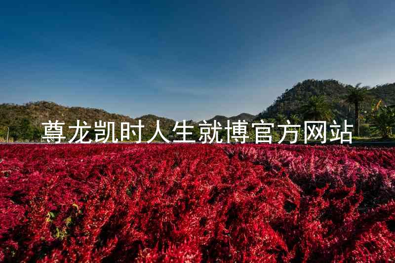 尊龙凯时人生就博官方网站